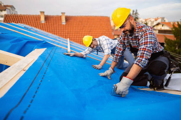 Best Metal Roofing Contractor  in Canton, GA